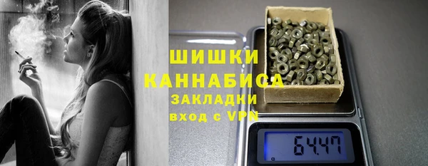 спиды Пересвет