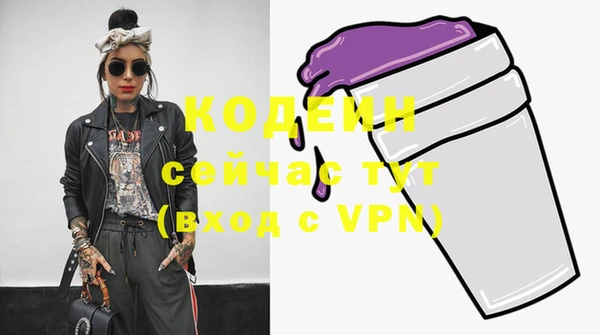 спиды Пересвет