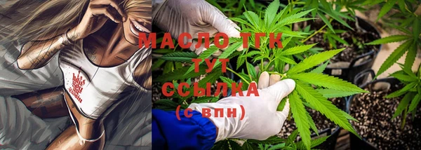спиды Пересвет