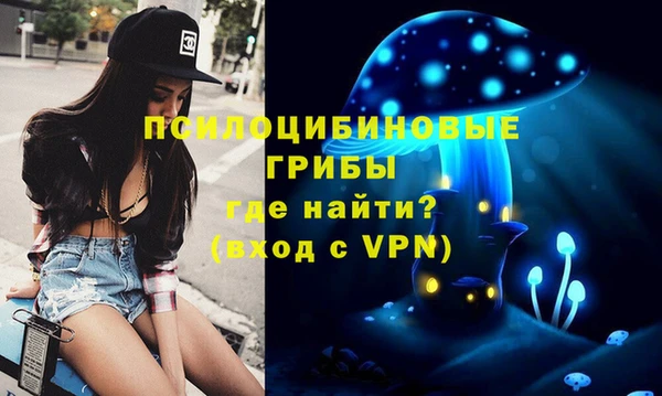 спиды Пересвет