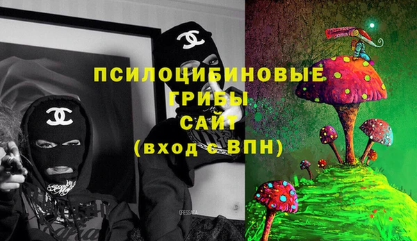 спиды Пересвет