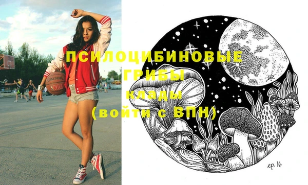 ПСИЛОЦИБИНОВЫЕ ГРИБЫ Пестово