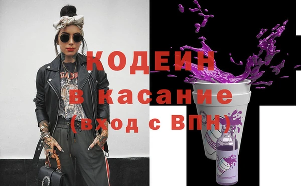 спиды Пересвет