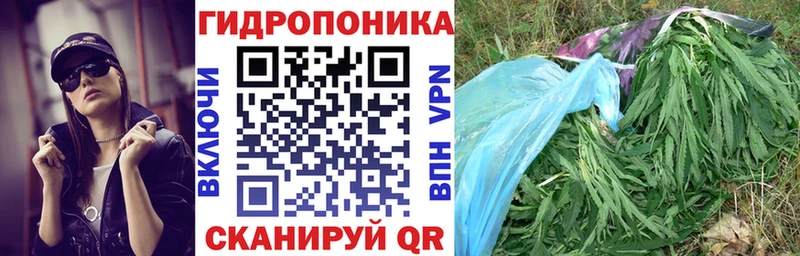 ОМГ ОМГ ссылки  Приволжск  площадка наркотические препараты  купить наркоту  Бошки Шишки Ganja 